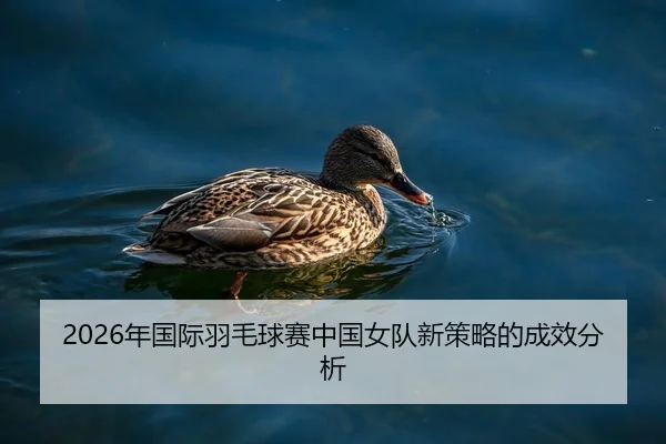 nian-guo-ji-yu-mao-qiu-sai-zhong-guo-nv-dui-xin-ce-lve-de-cheng-xiao-fen-xi-2-764.jpg